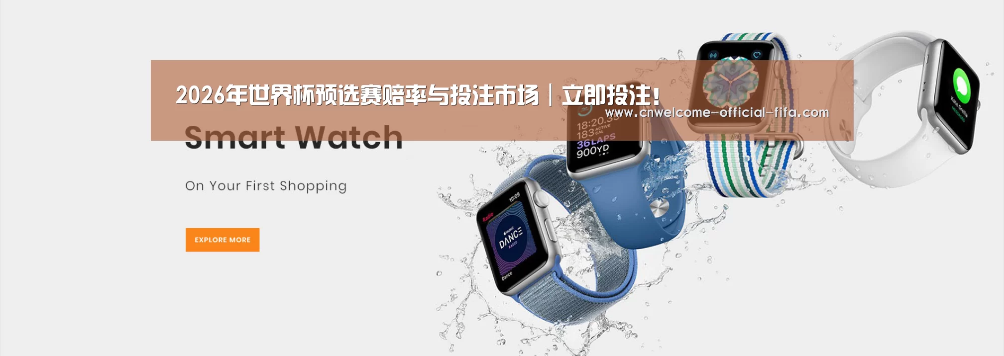 某某网络科技有限公司