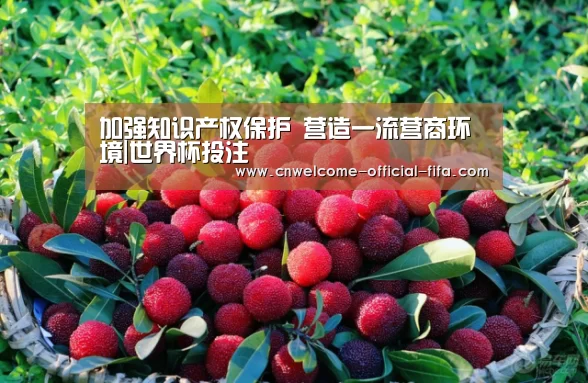 加强知识产权保护 营造一流营商环境|世界杯投注(图2) 世界杯投注