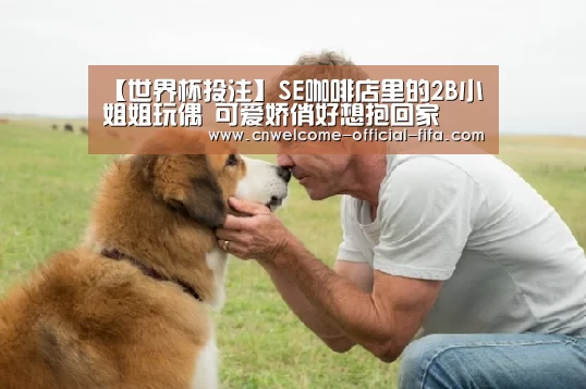 【世界杯投注】SE咖啡店里的2B小姐姐玩偶 可爱娇俏好想抱回家(图1) 世界杯投注