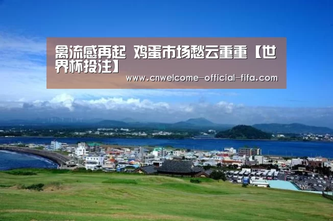 禽流感再起 鸡蛋市场愁云重重【世界杯投注】(图1) 世界杯投注