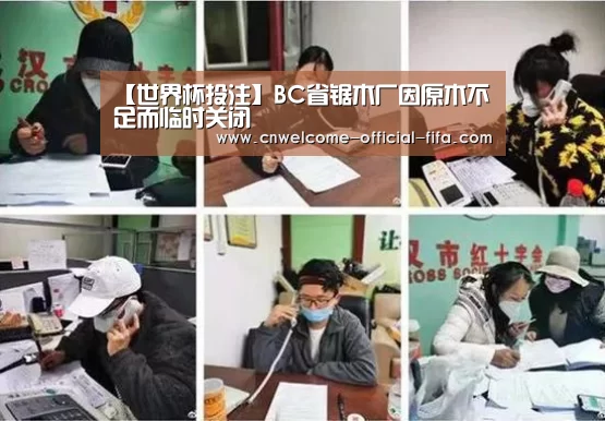 【世界杯投注】BC省锯木厂因原木不足而临时关闭(图1) 世界杯投注