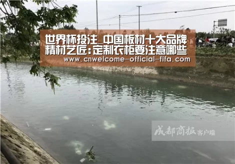 世界杯投注_中国板材十大品牌精材艺匠:定制衣柜要注意哪些?(图2) 世界杯投注