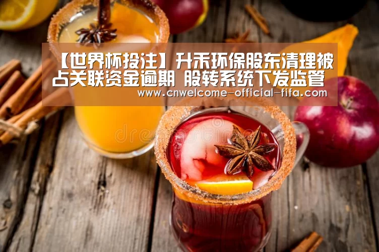【世界杯投注】升禾环保股东清理被占关联资金逾期 股转系统下发监管函(图4) 世界杯投注