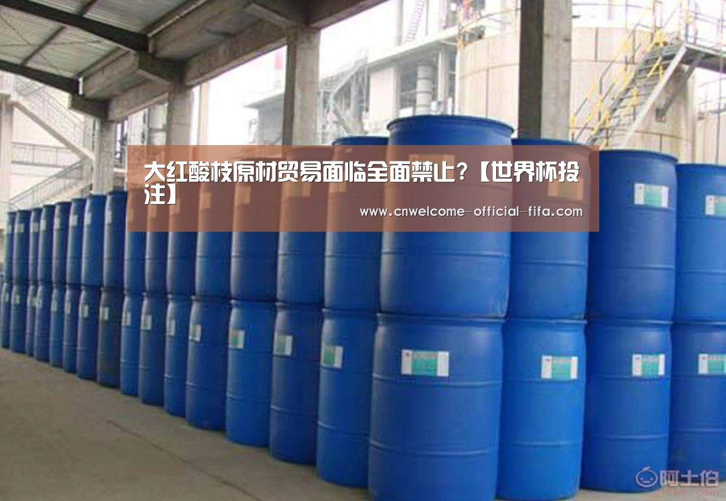 大红酸枝原材贸易面临全面禁止?【世界杯投注】(图1) 世界杯投注