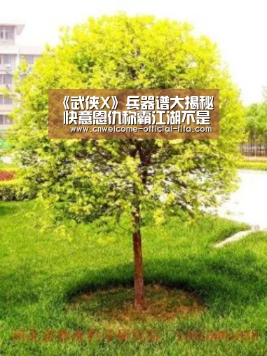 《武侠X》兵器谱大揭秘 快意恩仇称霸江湖不是梦_世界杯投注(图4) 世界杯投注
